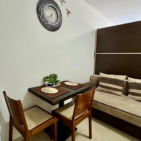 Kolibri Flat Slăntjev Brjag